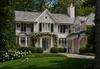 Boxwood